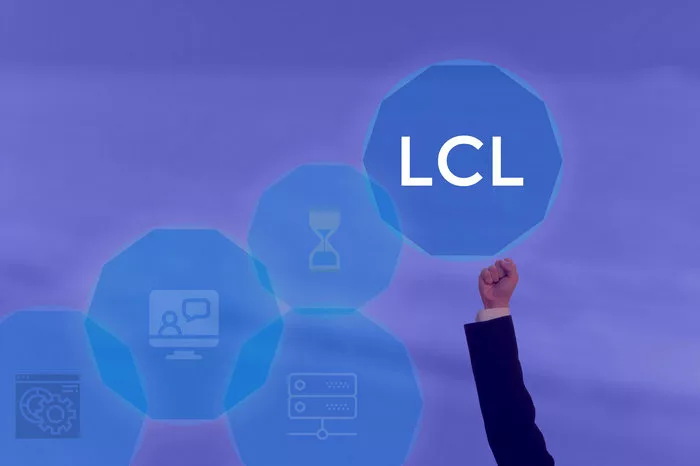 Comparison of using  LCL shipping from India to the USA to FCL shipping from India to the USA